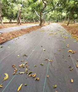 Geotessile Nero per <span class=keywords><strong>Giardino</strong></span> per Fermare la Crescita dell'Erba Barriera Anti-Erbacce e Tessuto per Controllo Erbacce Tappeto Anti-UV per <span class=keywords><strong>Aiuole</strong></span> - Product Image 5