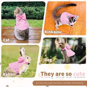 ชุดสายจูงและปลอกคอกระต่าย Habbiful - ไนลอน ป้องกันการหลุดรอด ระบายอากาศ ลายจุด ใช้ได้ทุกฤดู สำหรับการฝึกกลางแจ้ง เดินเล่น และตั้งแคมป์ - Product Image 5