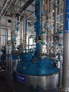 ถังความดันสแตนเลส Bibo พร้อมแจ็คเก็ตแบบ Limpet Coil สำหรับใช้งานในอุตสาหกรรม ผลิตภาพสูง ความจุ 1000-30000 ลิตร กำลังไฟ 5.5-75 กิโลวัตต์ - Product Image 3