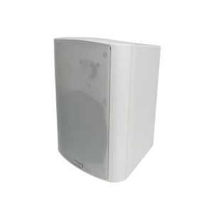 ABS cabinet PoE Wall mounted public address speaker