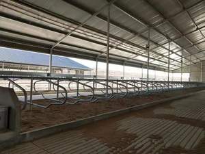 Bucles para diario, sin vaca - Product Image 3