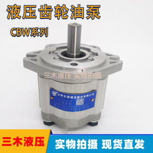 Bomba de Engranajes Hidráulica de Hierro Fundido Hefei Changyuan CBW-F304-ALP de 250 Bares y 1 Etapa con Accionamiento Eléctrico - Product Image 5