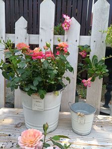 La Fábrica Tiene <span class=keywords><strong>en</strong></span> Stock: Artesanías Metálicas, Cubos <span class=keywords><strong>de</strong></span> Hojalata para Patio <span class=keywords><strong>de</strong></span> Villa, Decoraciones para Jardín Francés y Balcón, Macetas - Product Image 2