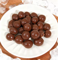 B2B Bulk Diepvries Fruit Diepvries Chocolade Fruit Premium Vers Fruit Centrum Knapperig Buiten, Sappig Binnen Perfect