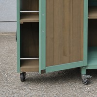 Chariot de bar extérieur vert menthe avec plateau en acier inoxydable et porte-bouteilles, chariot de service roulant pour patio, idéal pour les barbecues et les fêtes en extérieur