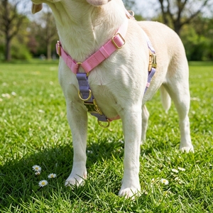 Imbracatura per Cani Personalizzata a Colori, Imbracatura a <span class=keywords><strong>H</strong></span> Senza Trazione, Resistente, in Nylon, Prodotta su Misura per Cani Piccoli e Grandi - Product Image 6