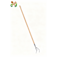Kit d'outils de jardin robustes à long manche en bois : Hachette oscillante, Cultivateur, Couteau de terrasse, Désherbeur, Kit de culture pour l'entretien des jardins