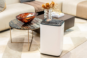 Mini purificador de aire portátil para el hogar, <span class=keywords><strong>deshumidificador</strong></span> para sótano y dormitorio con temporizador <span class=keywords><strong>programable</strong></span> de 24 horas - Product Image 4