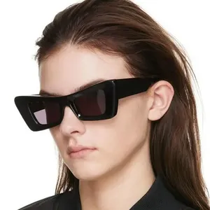사용자 정의 로고 2024 개성 선글라스 도매 가격 럭셔리 다채로운 선글라스 사용자 정의 음영 여성 안경 프레임