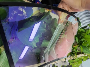 Nouveau film couleur caméléon violet rouge VLT 70%-90% Film de teinte de fenêtre de voiture - Product Image 3