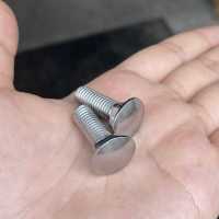 Boulon de chariot en acier inoxydable 304/316 à tête ronde et col carré pour la construction, les clôtures et les systèmes de montage solaire