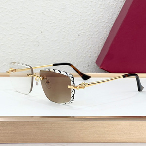 Gafas de Sol sin Marco con Diseño de Guepardo, Lentes de Resina con Protección UV400, Diseño Retro Metálico Unisex - Product Image 5