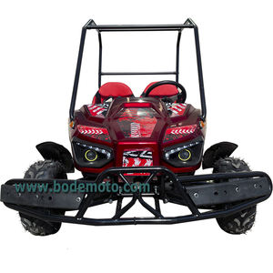 Mini Gas Powered off Road Go Karts, Kids Buggy Outdoor Sport, Sand Karts -  China Go Kart and Adult Toys price