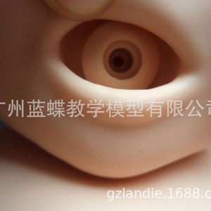 RCP - Product Image 3