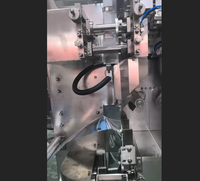 Machine d'emballage automatique de sachets de thé à trois côtés scellés avec filtre