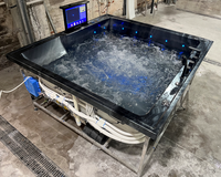 Baignoire autoportante chauffée en acrylique pour adultes avec température constante, jets à bulles et massage à air pour usage intérieur en hôtel moderne