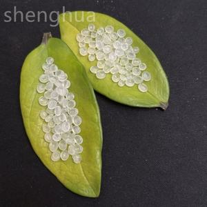 K8009 PP matière première polypropylène homopolymère PP vierge PP polypropylène vierge PP granulés vierge pour boîtes de batterie - Product Image 1