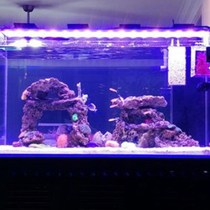 <span class=keywords><strong>Filtre</strong></span> d'<span class=keywords><strong>aquarium</strong></span> en acrylique pour eau salée, boîte à mangroves, unité de filtration <span class=keywords><strong>externe</strong></span> pour réservoir, conteneur d'isolement dédié pour l'élevage des mangroves, respirant - Product Image 4