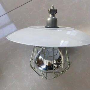 Ensemble de lampes d'isolation thermique infrarouge lointain <span class=keywords><strong>pour</strong></span> usage domestique, nouveau plastique 220v <span class=keywords><strong>pour</strong></span> les porcs et les poussins d'élevage, abat-jour chauffant 250 W - Product Image 3