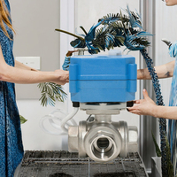Vanne à boisseau sphérique motorisée électrique miniature en acier inoxydable CR02 à rappel par ressort, connexion NPT, garantie 1 an pour l'irrigation de l'eau, OEM