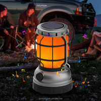 Haut-parleur Bluetooth portable CP&AP pour le camping avec lampe torche, lumière LED à flamme alimentée par l'énergie solaire pour les activités de plein air