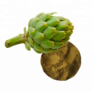 Высококачественный экстракт артишока / порошок экстракта артишока / от Rainbow Supply - Product Image 2