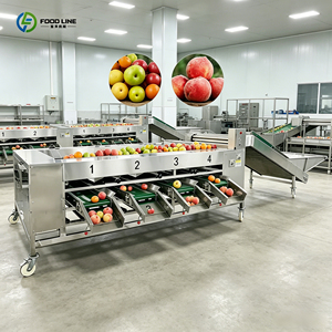 Máquina para Lavar, Limpiar y Secar Verduras, Lavadora de Frutas y Verduras Bacion, Centrifugadora de Frutas - Product Image 5