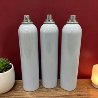 Bouteille aérosol vide en aluminium OEM/ODM de 100 ml à 600 ml avec impression offset pour peinture chimique en spray, prix usine