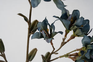 87cm Lilas Ours Fleur Artificielle Simple-Branche Bord Brûlé pour la Graduation Nouvel An Fête des Pères Fête des Mères Pâques - Product Image 5