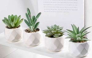 Mini Suculentas Artificiales de Alta Calidad, Simples, de PVC, Portátiles, para Decoración, Pequeñas Plantas en Maceta, Regalos Promocionales de Negocios - Product Image 3