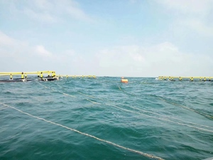 ¿Preocurdo por la deriva de la jaula en aguas agitadas? Jaula para Peces de HDPE con Anclaje Estable para Usted! - Product Image 1