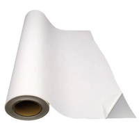 Film vinyle thermocollant imprimable à l'éco-solvant PU pour T-shirts, vêtements, graphiques personnalisés, impression d'images haute résolution, presse à chaud