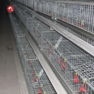 Cage de culture de volaille à étages, cage pour élevage des poules
