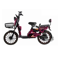 Vélo de ville 20 pouces Jasmine 48V 500W, 7 vitesses, moteur à moyeu sans balais avec assistance au pédalage, pneus 20*2.5, pliable, contrôleur numérique, >60 km d'autonomie
