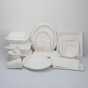 Paper Production Machinery Making Biodegradable Disposable Sugarcane Bagasse Paper Pulp Molding Plate Tableware Making Machine