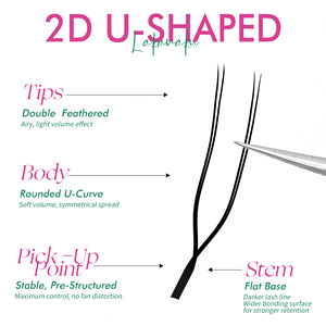 Lakanaku 4D 3D 5D W รูป U Lash Clover Y Lash Extensions DOUBLE TIP C D Volume FANS prefans Private LABEL Private lakanaku - Product Image 4