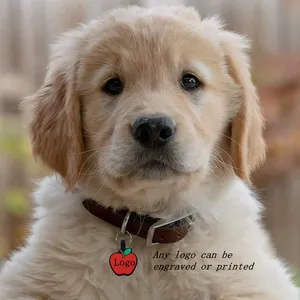 OKSILICONE Haustierzubehör personalisierter eingravierter Hundenname Silikon-Haustier-Tags für Anti-Verlust Haustier-ID-Hunde-Tag