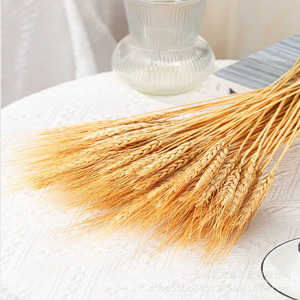 Oferta Especial: Ramilletes de Trigo Seco 100% Natural para Centros de Mesa, 50 Ramas por Ramillete, para Bodas Rústicas - Product Image 3
