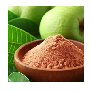 สารสกัดผงผลฝรั่ง (Psidium Guajava) จากผลไม้ คุณภาพอนุภาคละเอียด สำหรับใช้เป็นส่วนผสมในอุตสาหกรรม - Product Image 2