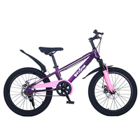 Nouveau vélo BMX 20 pouces avec pneus haute performance, haut-parleurs Bluetooth sans fil et cadre LED clignotant pour enfants et adolescents