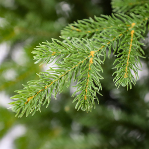 Pe Pvc Christmas Decorations Luxury Artificial Christmas <b>Tree</b> Recycled Plastic Xmas <b>Tree</b> With <b>Led</b> Lights - Product Image 2