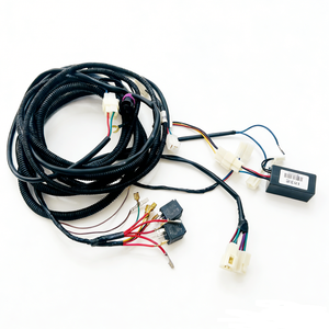 موصل سيارات مخصص من نوع Molex TE ذكر إلى أنثى، مصنّع أسلاك السيارات، ضفيرة أسلاك السيارات - Product Image 2