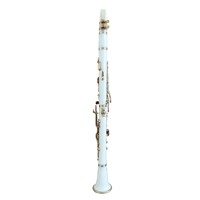 Factory Direct Wholesale Professional Woodwind ABS G-toen Clarinet Gold Plated 20-Key with Canvas Case