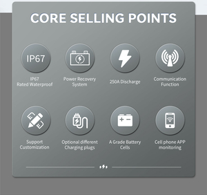 51.2V 48V 100AH 105ah Golf E pin <span class=keywords><strong>lithium</strong></span> Turbo <span class=keywords><strong>Caddy</strong></span> Golf Buggy LiFePO4 Pin cho e-<span class=keywords><strong>caddy</strong></span> Trike Buggy giỏ hàng Câu lạc bộ xe - Product Image 4