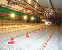 Nouvel équipement d'élevage avicole automatique en acier inoxydable, portable et sur pied, pour mangeoires à poulets, fourni par l'usine chinoise