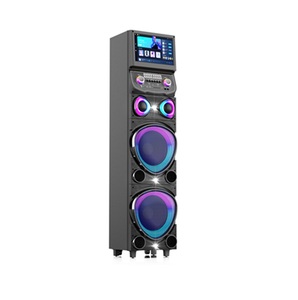 Dernier modèle de haut-parleur <span class=keywords><strong>DJ</strong></span> double 12 pouces, grande puissance TWS, avec entrée micro, pour karaoké extérieur et performances KTV - Product Image 3