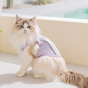 Ropa de verano para gatos Gaby, chaleco con capucha para mascotas, protección solar, ropa refrescante para gatitos, chaleco de dos patas, ropa refrescante para perros, venta al por mayor - Product Image 5
