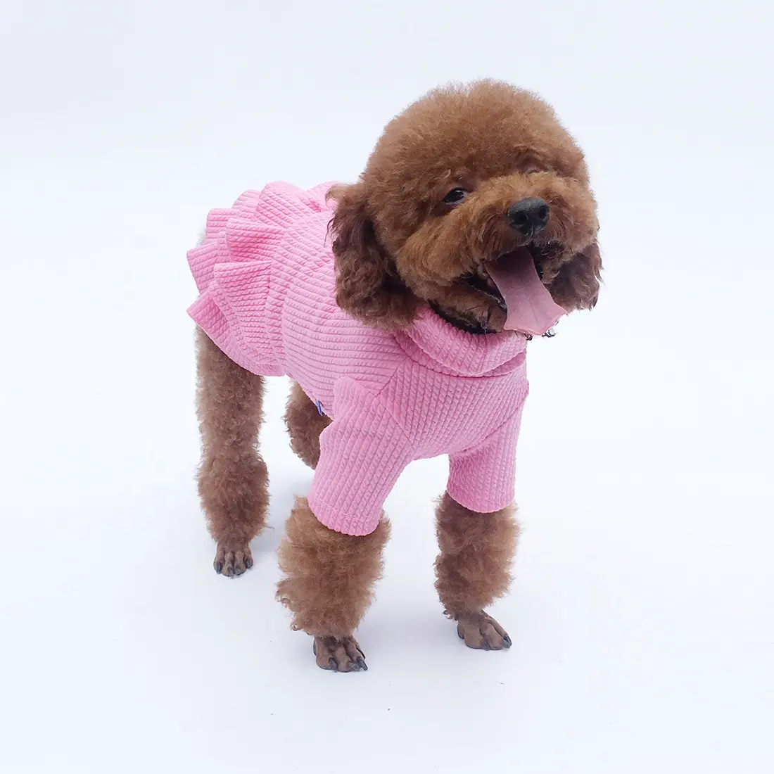 新しいデザインの犬のジャケット暖かいスカートドレス秋冬スカートペットジャケット服