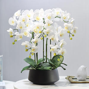 Artificial Orchids Phalaenopsis in Vase Decorative Latex Orchid Plants Real touch Artificial Orchid with Pot
