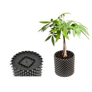 Pots de culture en rouleau pour plantes, base noire, pour <span class=keywords><strong>bonsaï</strong></span>, jardin, pots d'élagage aérien, pots d'élagage pour arbres, en vente - Product Image 1